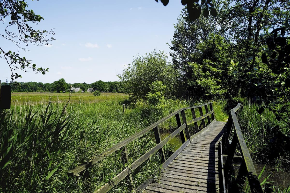 Zeeland met de kinderwagen: 5 toegankelijke wandelroutes en hotspots voor jonge ouders