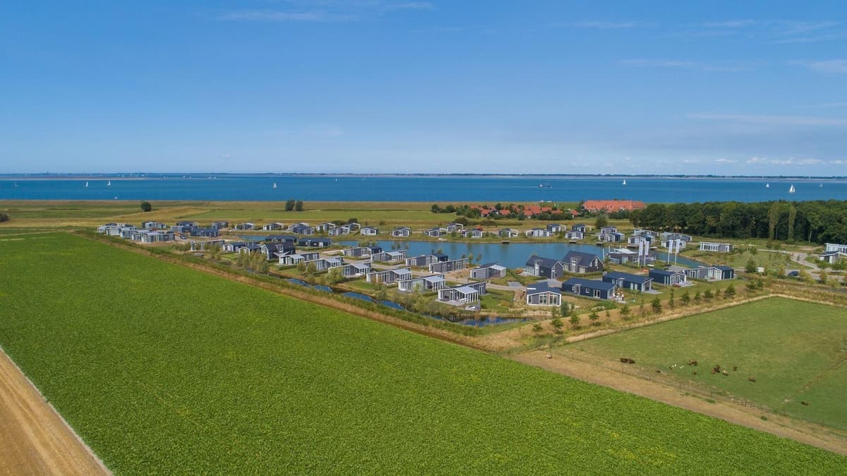 Zelf oesters rapen in Zeeland: De ultieme gids voor een culinair dagje uit