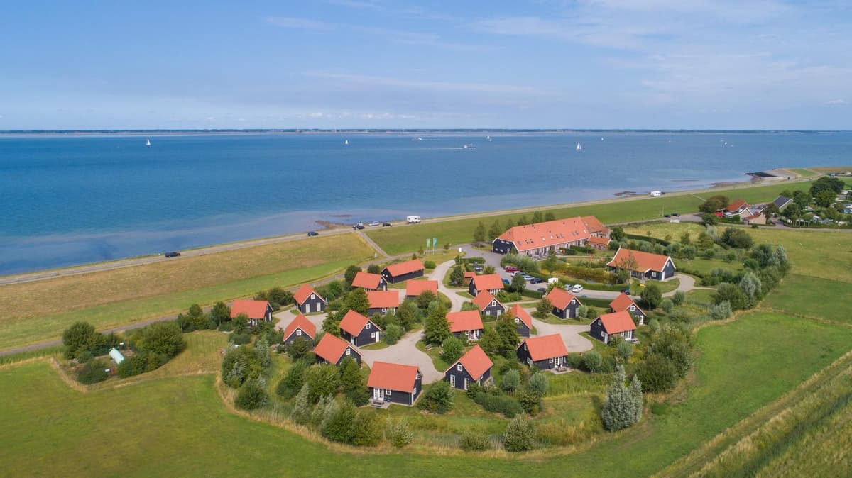 Zeehonden spotten in Zeeland: De 5 beste locaties en handige tips